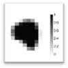 PET image of tumor segmented into 3D voxels