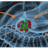 illustration of preclinical pancreatic cancer treatment