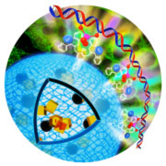 theranostic_ nanomedicin_section.png
