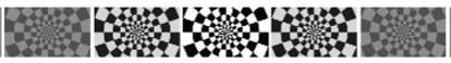 Checkerboard visual stimulus