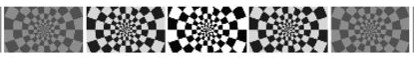 Checkerboard visual stimulus Checkerboard visual stimulus